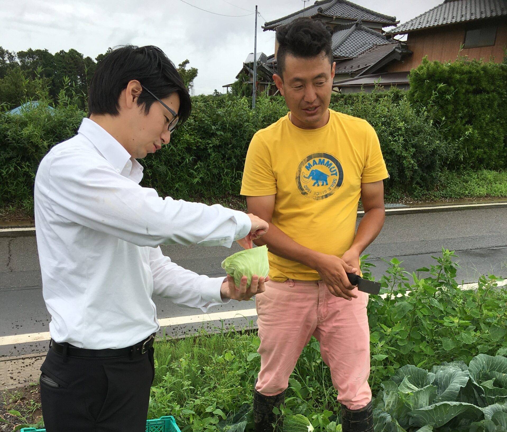 野菜の画像